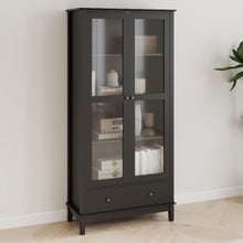 Darius 2 Door Display Cabinet